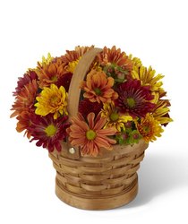 Woodland Wonder Basket<b> from Flowers All Over.com 